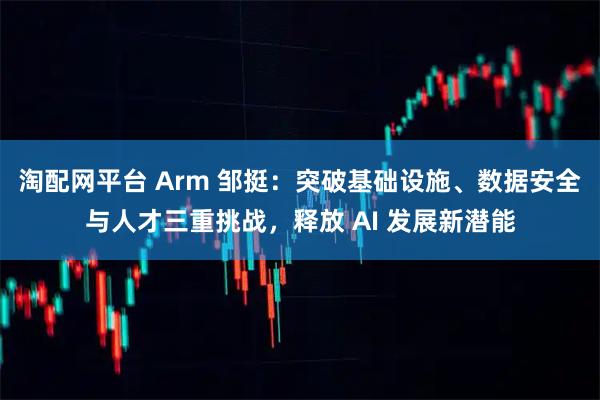 淘配网平台 Arm 邹挺：突破基础设施、数据安全与人才三重挑战，释放 AI 发展新潜能